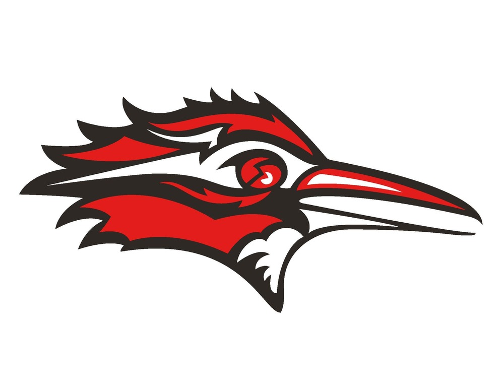 Roadrunner Logo
